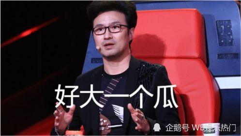 娱乐圈吃瓜吐槽,揭秘明星幕后真相，笑谈八卦吐槽盛宴